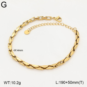 2B2006119abol-775  Stainless Steel Bracelet