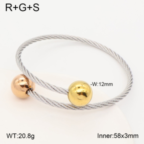 2BA202840vbmb-387  Stainless Steel Bangle