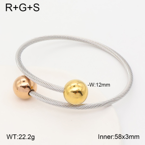 2BA202841vbmb-387  Stainless Steel Bangle