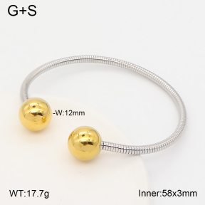 2BA202842vbmb-387  Stainless Steel Bangle