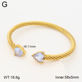 2BA403010vbpb-387  Stainless Steel Bangle