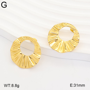 2E2007357abol-775  Stainless Steel Earrings