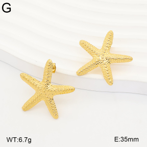 2E2007359bvpl-775  Stainless Steel Earrings