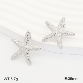 2E2007360vbnl-775  Stainless Steel Earrings