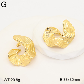 2E2007361ahjb-775  Stainless Steel Earrings