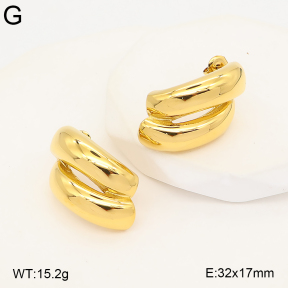 2E2007363bvpl-775  Stainless Steel Earrings