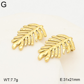 2E2007365bbov-775  Stainless Steel Earrings