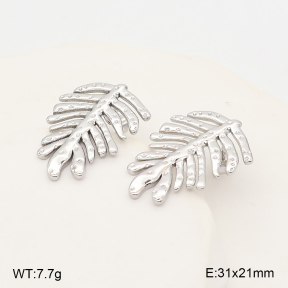 2E2007366bbml-775  Stainless Steel Earrings