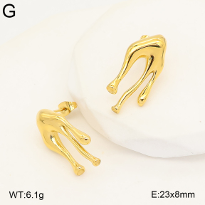 2E2007375bhva-775  Stainless Steel Earrings