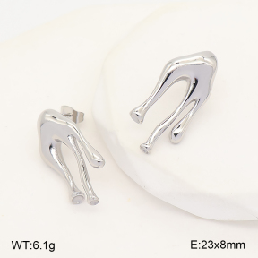 2E2007376abol-775  Stainless Steel Earrings