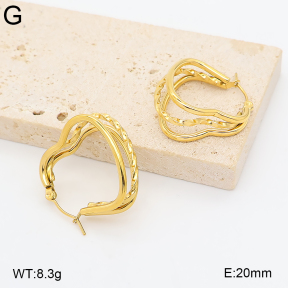 2E2007379bhva-775  Stainless Steel Earrings