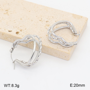 2E2007380abol-775  Stainless Steel Earrings