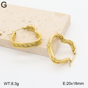 2E2007381bhva-775  Stainless Steel Earrings
