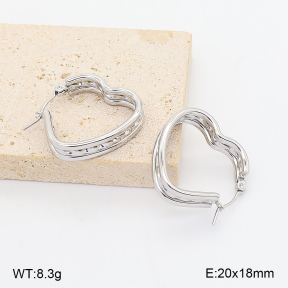 2E2007382abol-775  Stainless Steel Earrings