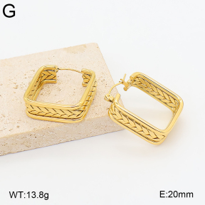 2E2007383bhva-775  Stainless Steel Earrings