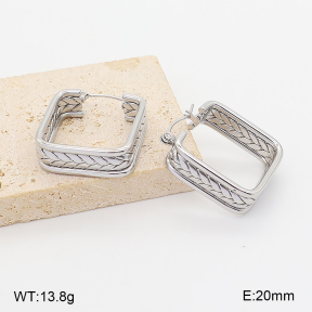 2E2007384abol-775  Stainless Steel Earrings