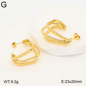 2E2007385bhva-775  Stainless Steel Earrings