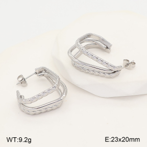 2E2007386abol-775  Stainless Steel Earrings