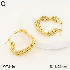2E2007387bhva-775  Stainless Steel Earrings