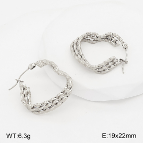 2E2007388abol-775  Stainless Steel Earrings