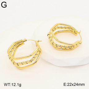 2E2007389bhva-775  Stainless Steel Earrings