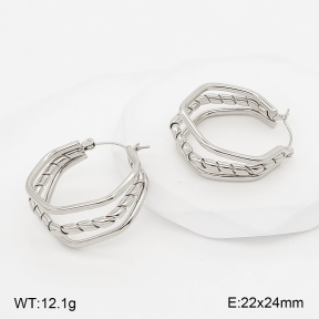 2E2007390abol-775  Stainless Steel Earrings