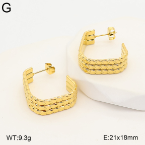 2E2007391bhva-775  Stainless Steel Earrings