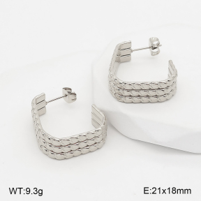 2E2007392abol-775  Stainless Steel Earrings