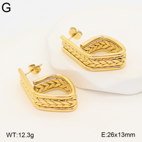 2E2007393bhva-775  Stainless Steel Earrings