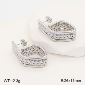 2E2007394abol-775  Stainless Steel Earrings