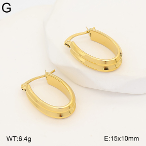 2E2007395bhva-775  Stainless Steel Earrings