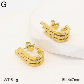 2E2007397bhva-775  Stainless Steel Earrings