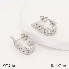 2E2007398abol-775  Stainless Steel Earrings