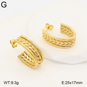 2E2007399bhva-775  Stainless Steel Earrings