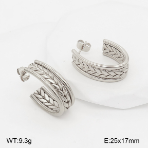 2E2007400abol-775  Stainless Steel Earrings