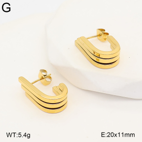 2E2007401bhva-775  Stainless Steel Earrings
