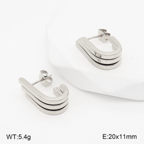2E2007402abol-775  Stainless Steel Earrings