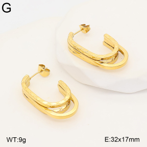 2E2007403bhva-775  Stainless Steel Earrings