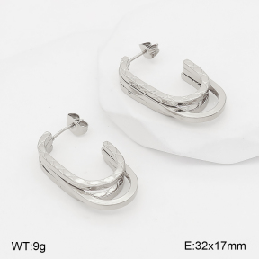 2E2007404abol-775  Stainless Steel Earrings