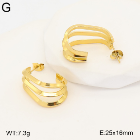 2E2007405bhva-775  Stainless Steel Earrings