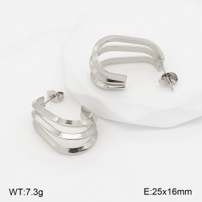 2E2007406abol-775  Stainless Steel Earrings