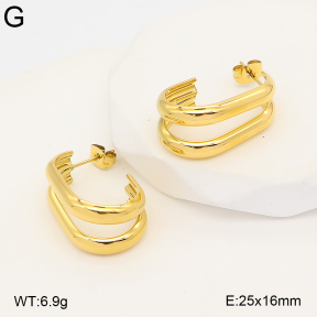 2E2007407bhva-775  Stainless Steel Earrings