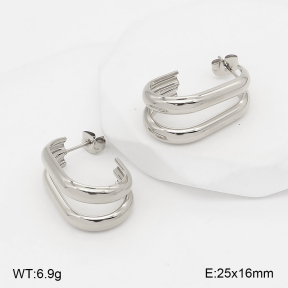 2E2007408abol-775  Stainless Steel Earrings