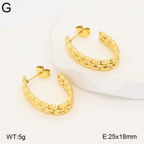2E2007409bhva-775  Stainless Steel Earrings