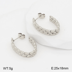 2E2007410abol-775  Stainless Steel Earrings