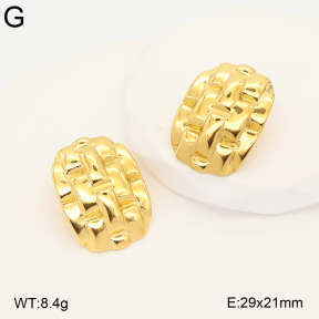 2E2007411abol-775  Stainless Steel Earrings