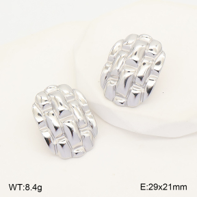 2E2007412vbnb-775  Stainless Steel Earrings