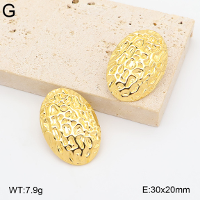 2E2007413bbov-775  Stainless Steel Earrings