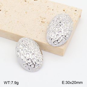 2E2007414bbml-775  Stainless Steel Earrings