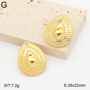 2E2007417abol-775  Stainless Steel Earrings